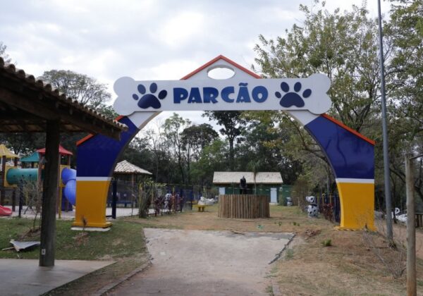 Castrações de animais crescem 17% com mutirões da prefeitura de Jaguariúna