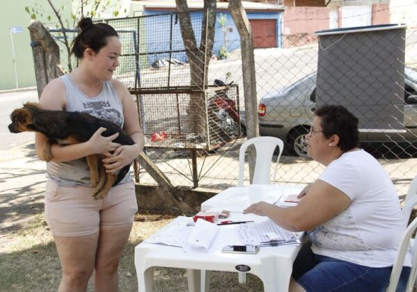 Castrações de animais crescem 17% com mutirões da prefeitura de Jaguariúna